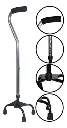 44981walking-stick-pole-10 (4).webp
