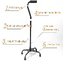 44981walking-stick-pole-10 (9).webp