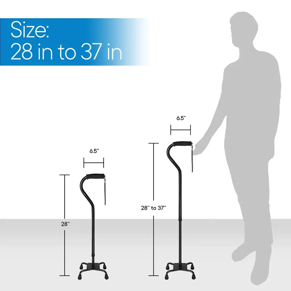 44981walking-stick-pole-10 (7).webp