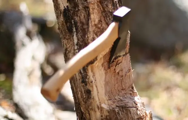 26102 Steel-hatchet-hand-axe-900-gm-wood-handle-16.webp