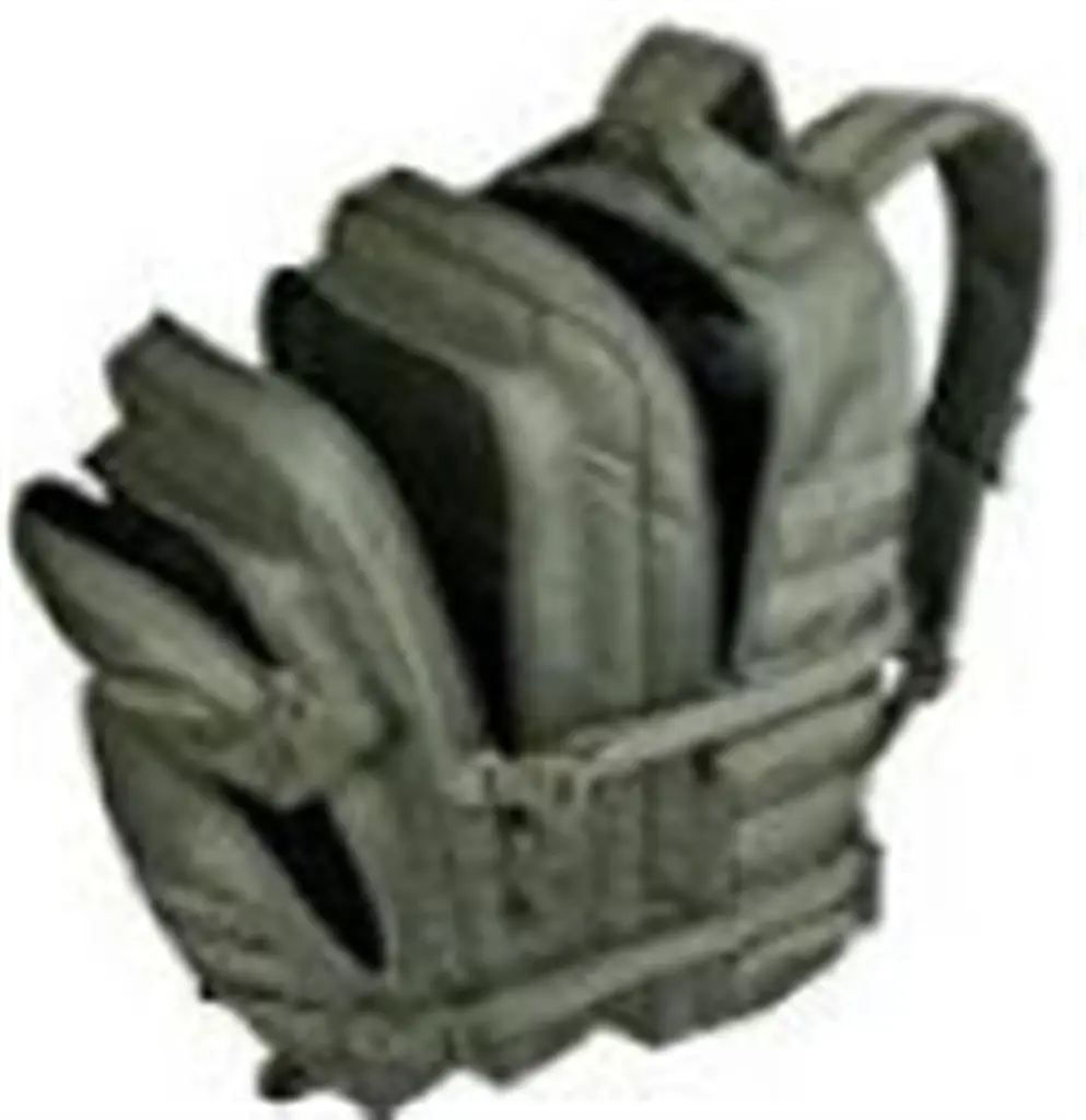 18201-18211-1 (Large).webp