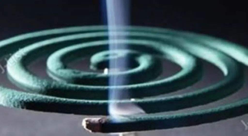 28615-4 (Medium).webp