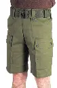 015 shorts olive.webp