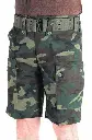 017 shorts woodland (Large).webp
