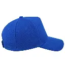 12858 5-Panel-Snapback-Rapper-baseball-trucker-Cap-Bright-Royal.jpg (6).webp