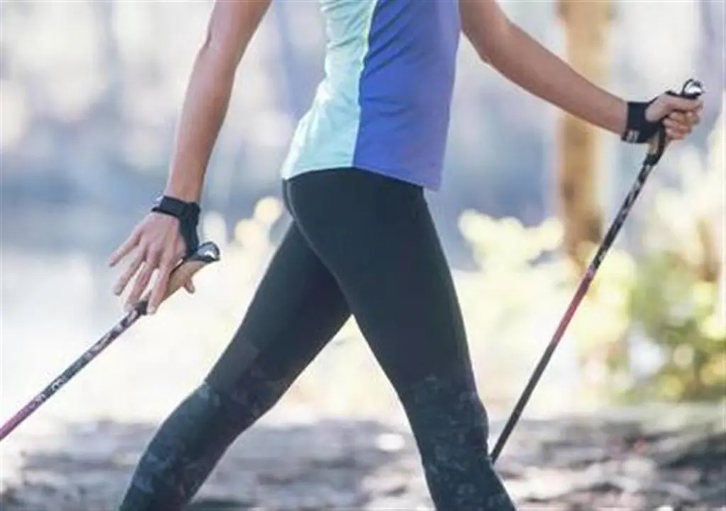 44998-22 (Large).webp