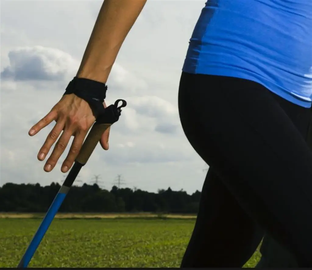 44998-25 (Large).webp