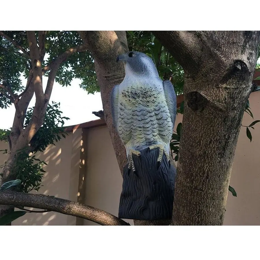 91449 Falcon-Scare-Bird-decoy-12.webp