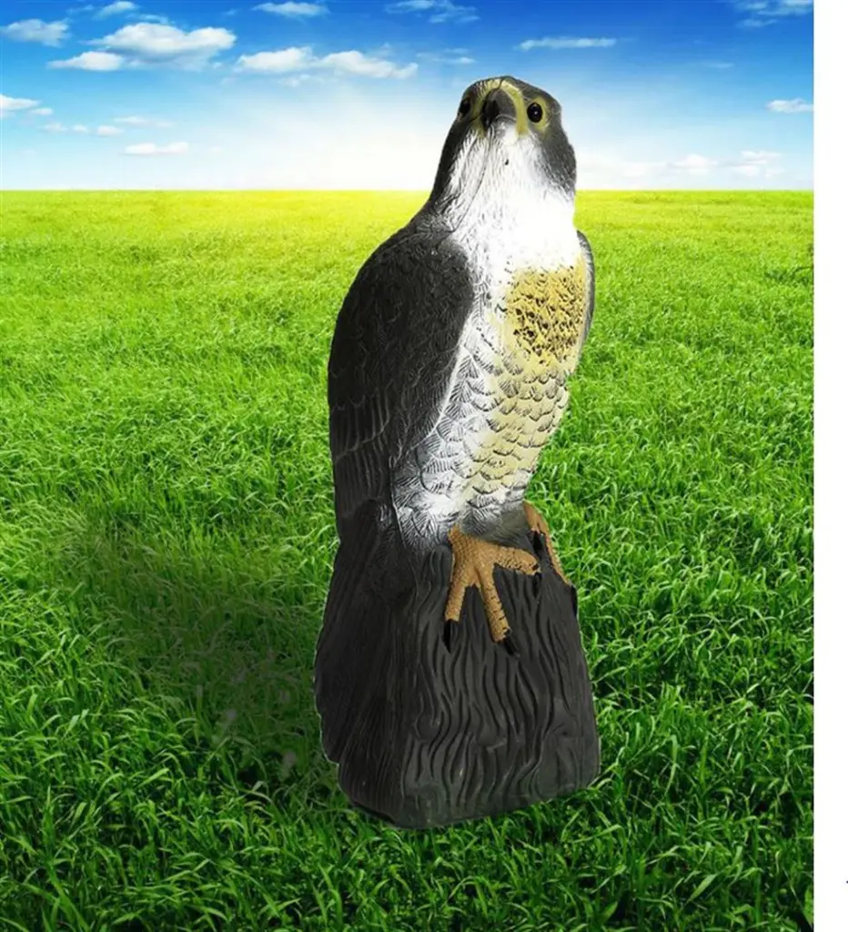 91449 Falcon Scare Bird (2).webp