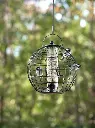 91434 Anti Possum Bird Feeder Round Metal 26cm 6.webp