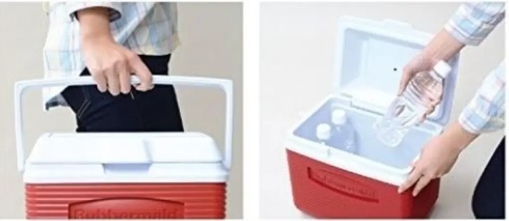 34702-3 (Medium).webp