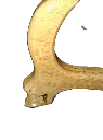 44973 WALKING-STICK-BAMBOO-DRAGON-HEAD-MOUTH  (1).webp