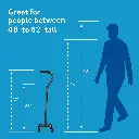 44981walking-stick-pole-10 (8).webp