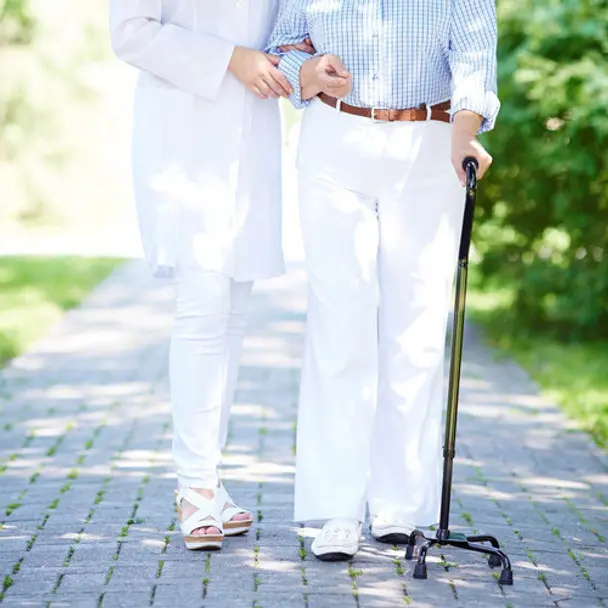 44981walking-stick-pole-10 (3).webp