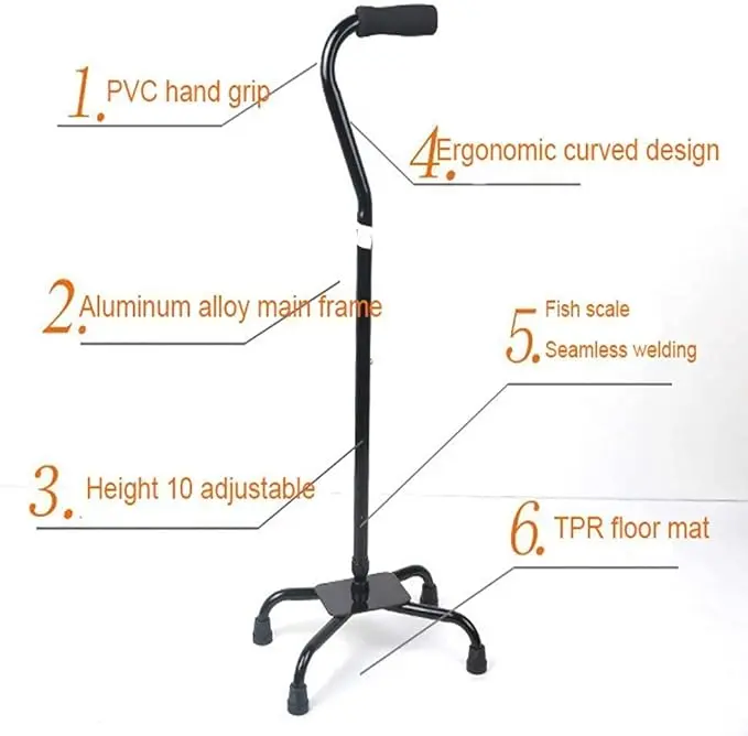 44981walking-stick-pole-10 (9).webp