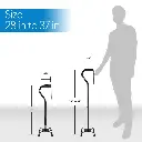 44981walking-stick-pole-10 (7).webp