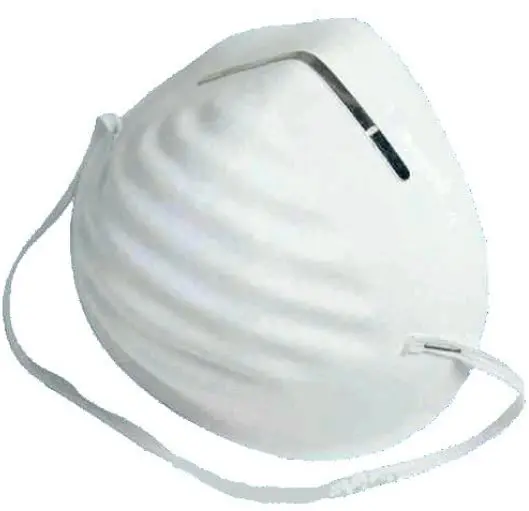  Dustproof Mask Pack 10