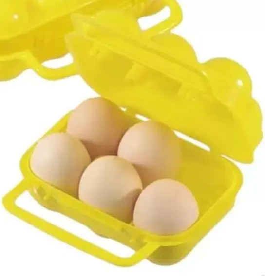  Egg Container 6 Egg