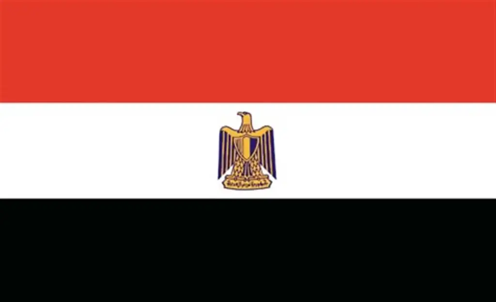  Egypt Flag 5' X 3'