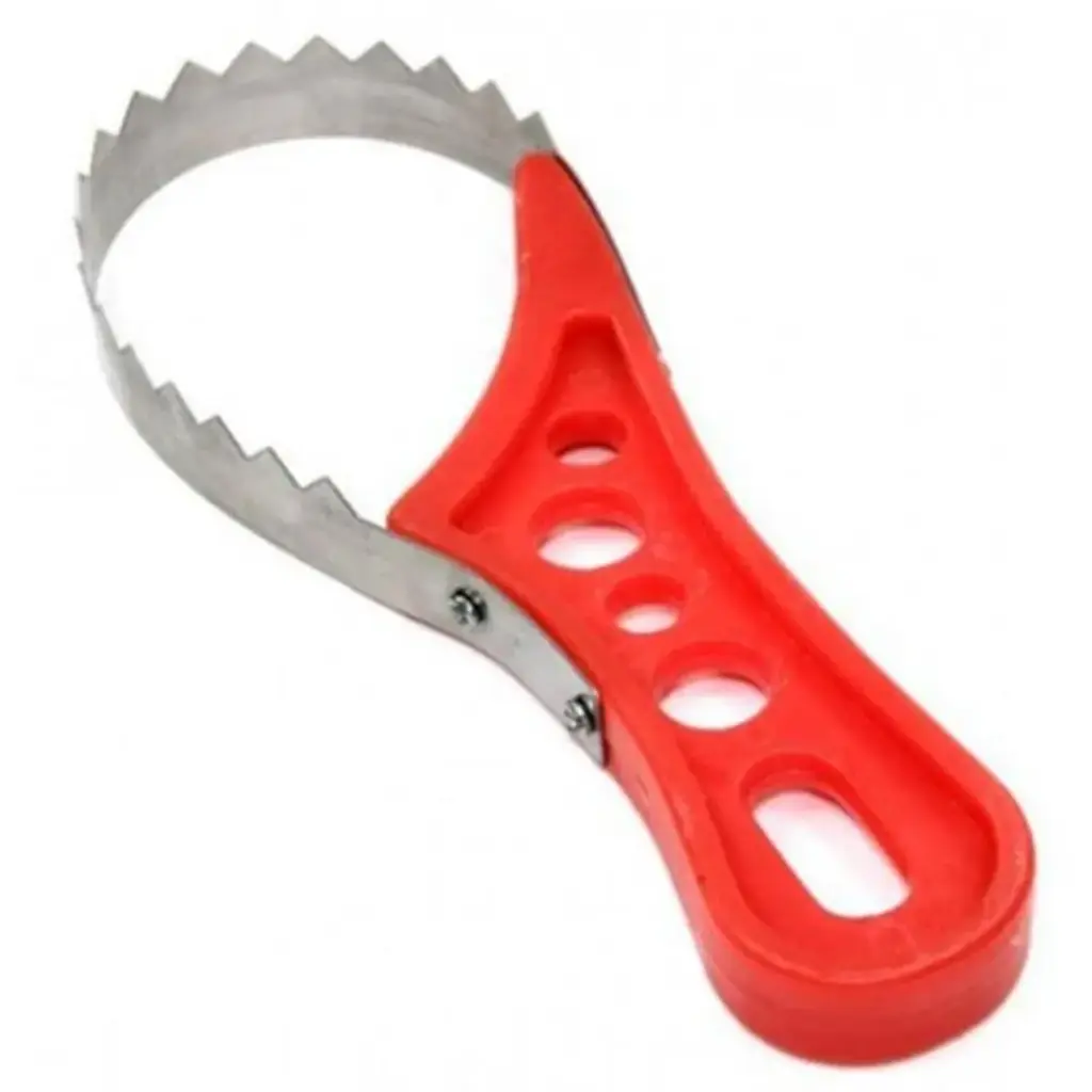  Fish Scaler Deluxe