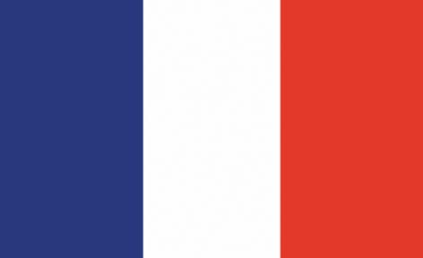 France Flag 5' X 3'