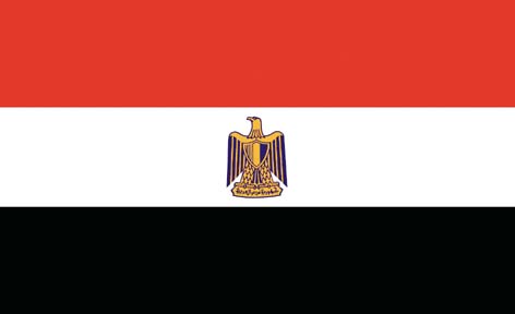 Egypt Flag 5' X 3'