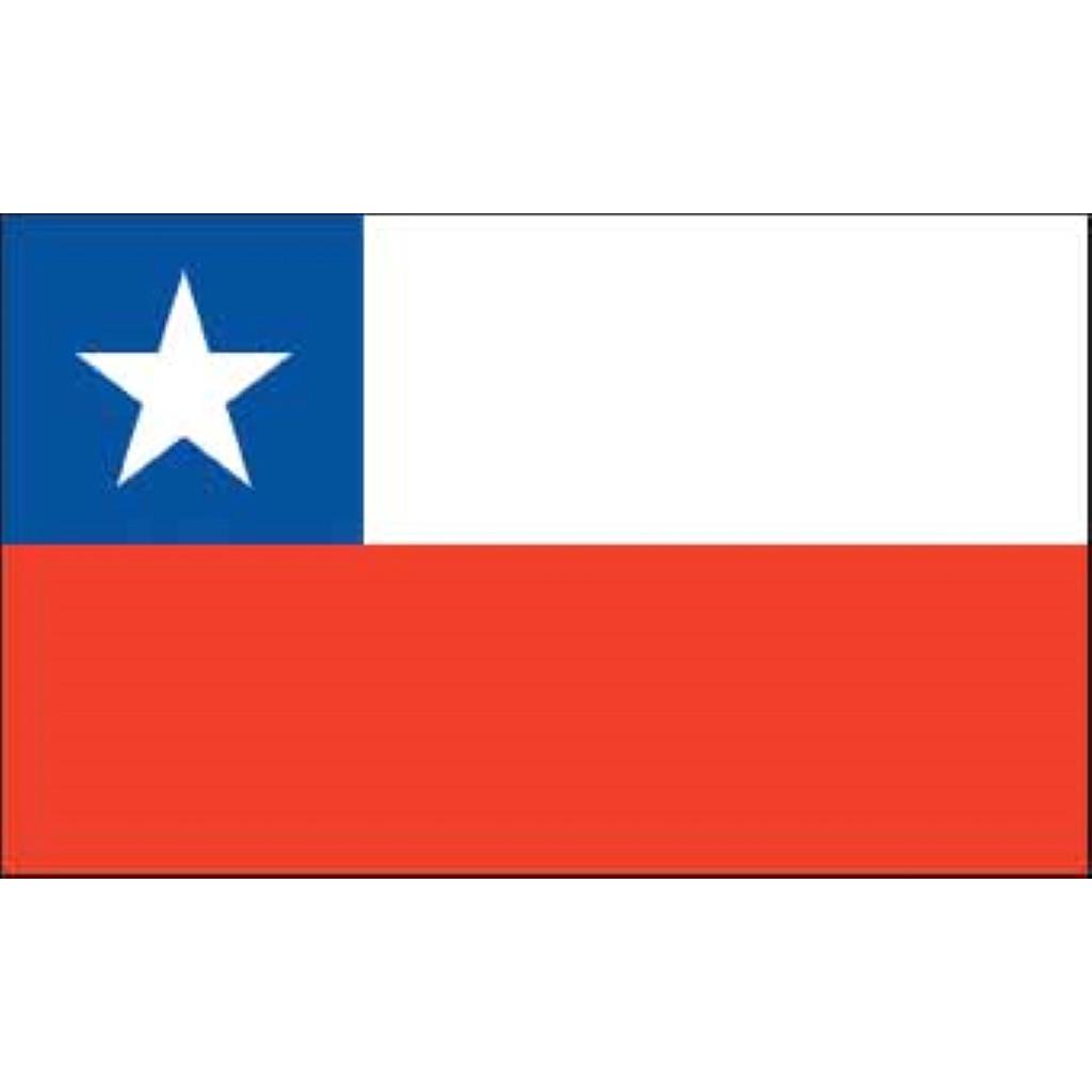 Chile Flag 5' X 3'