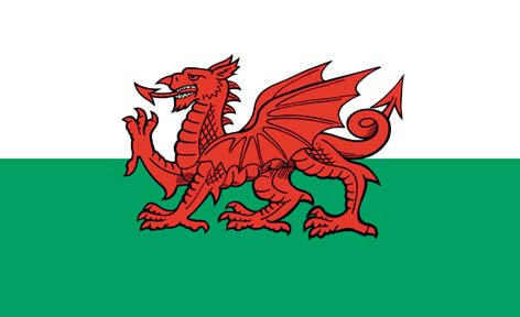 Wales Red Dragon Flag 5' X 3'