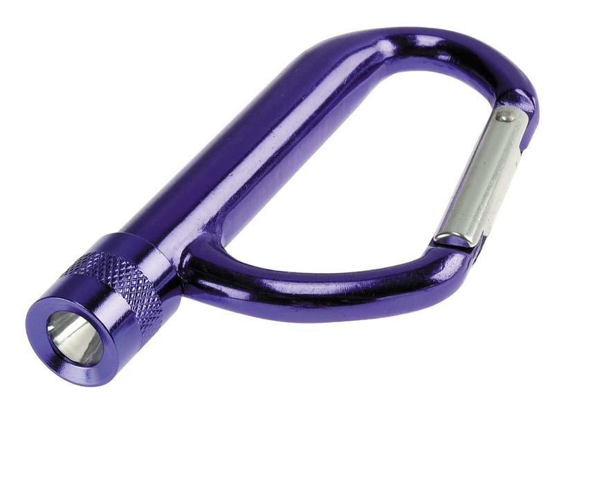 Carabiner With Torch