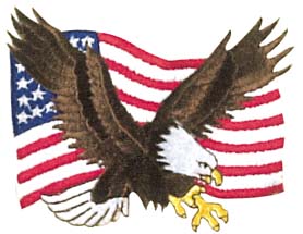 Patch US Flag with Eagle