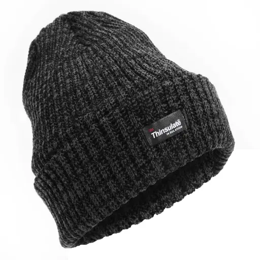 [13629]  Rag Wool Knit Beanie Charcoal Thinsulate Lined