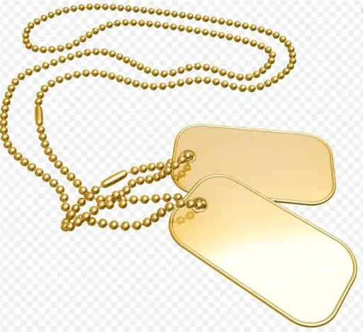 [24961]  Dog Tag Gold 2 Pc+chain