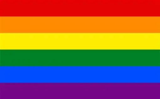 [28747]  Rainbow Flag 5' x 3'