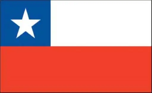 [28776]  Chile Flag 5' X 3'