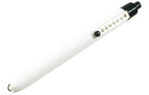 [36174]  Penlight 2 AAA
