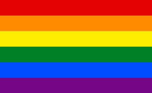 Rainbow Flag 5' x 3'