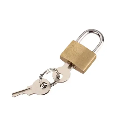 [45903]  20 mm Brass Padlock